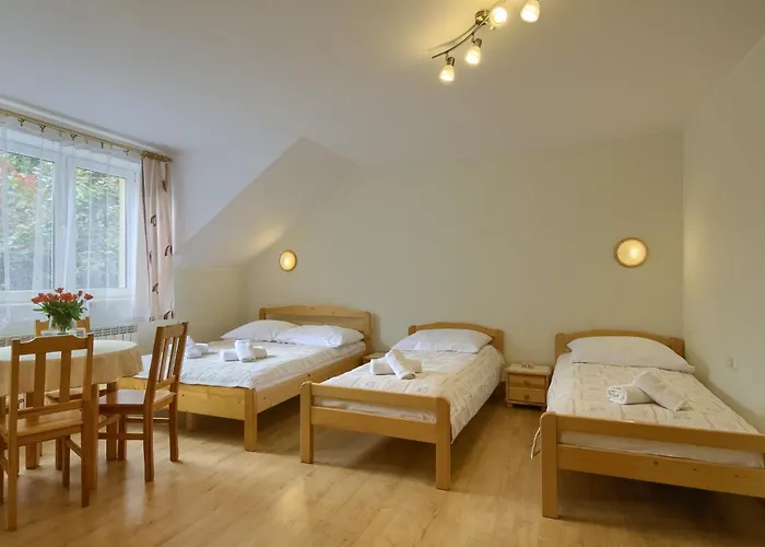 בית אירוח Baranowka מוז'ינה